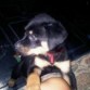 MAX BB